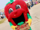 Strawberries, sunshine and smiles as thousands flock to 37th annual LaSalle Strawberry Festival