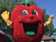 Be Part of the Tradition: Volunteer to Clean Strawberries for LaSalle’s Festival